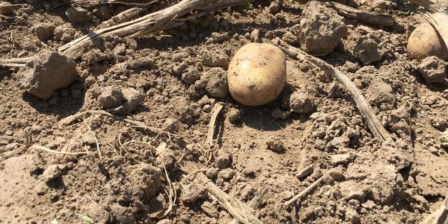 Auch nach den Abstimmungen vom 13. Juni 2021 wird der Druck auf die Landwirtschaft bestehen bleiben, ist Ruedi Fischer überzeugt. (Bild BauZ)