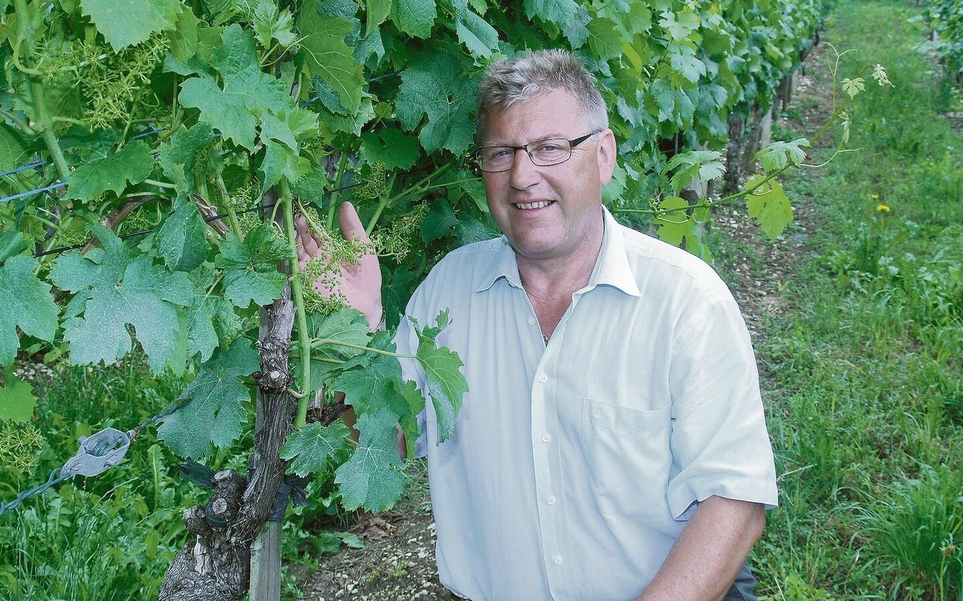 Winzer Peter Wehrli hat durch Moon Privilege 2015 die halbe Ernte verloren. Nun will er dafür adäquat entschädigt werden.