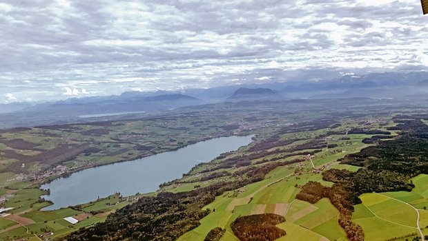 Das «Schweinevalley» um den Baldeggersee im Kanton Luzern. Die Tierhaltung und Güllewirtschaft steht wieder einmal in der Kritik von Medien. 