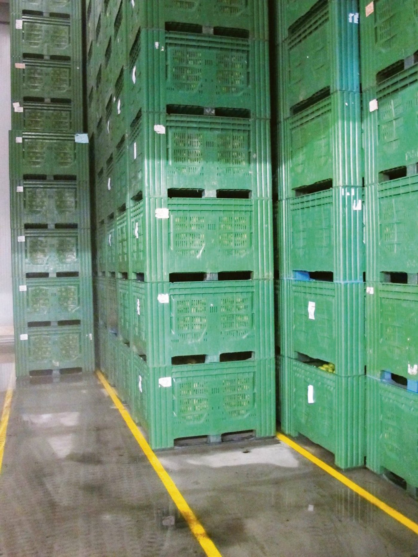 Bodenmarkierungen erleichtern das korrekte Stapeln der Obstkisten. (Bild Dr. Daniel Neuwald, KOB Bavendorf)