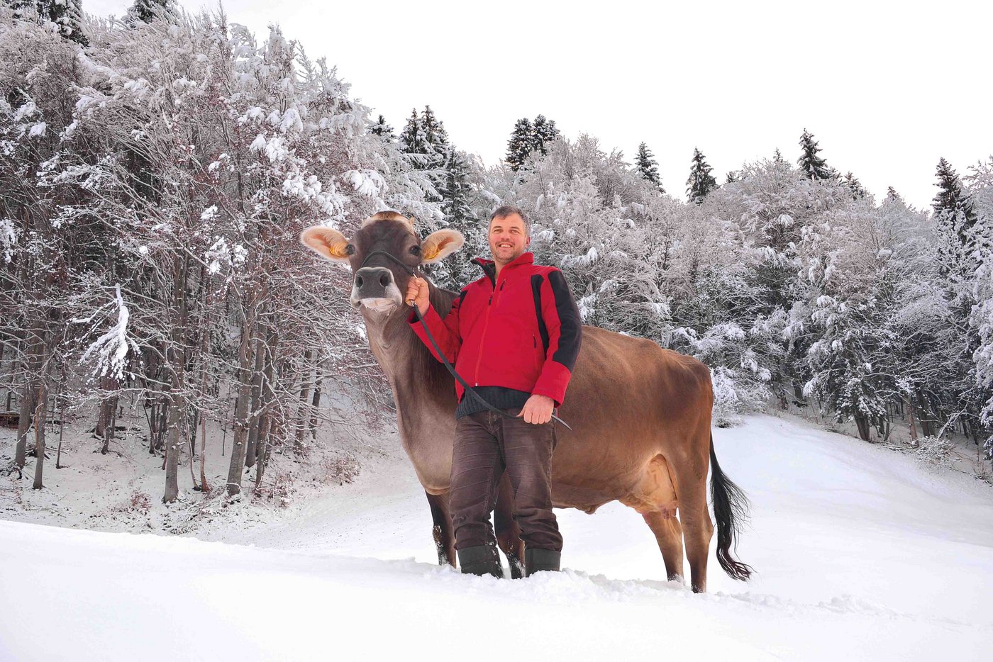 Georg Florin mit Gilberto Pilla. Die Kuh gehört zu 50 Prozent Tönet Stuppan, steht aber bei Florin im Stall. (Bild Hansjürg Jäger)