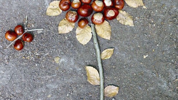 Hingucker auf dem Asphalt: vergängliches Kunstwerk aus Kastanien, Herbstblättern und einem Zweig. 