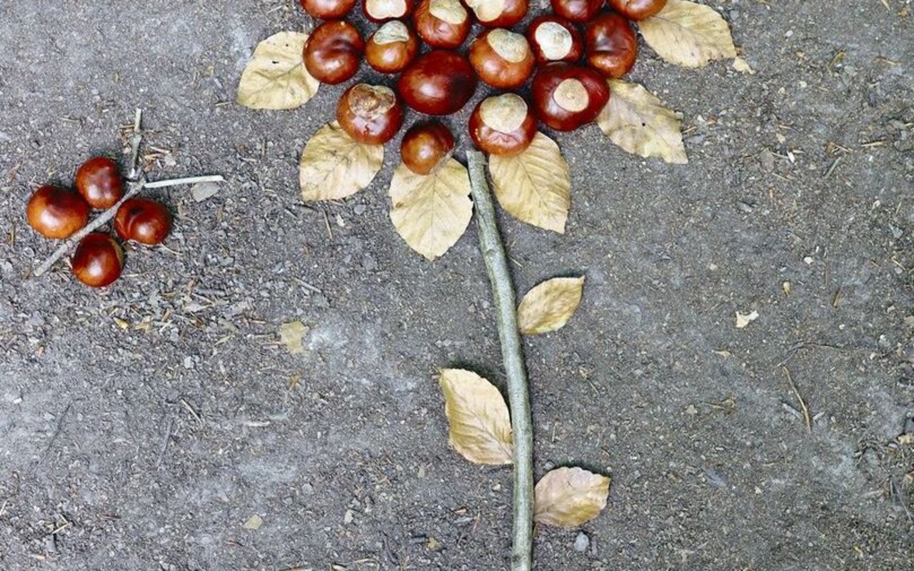 Hingucker auf dem Asphalt: vergängliches Kunstwerk aus Kastanien, Herbstblättern und einem Zweig. 