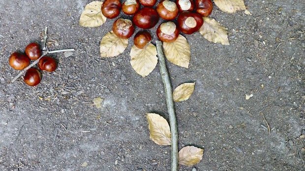 Hingucker auf dem As Hingucker auf dem Asphalt: vergängliches Kunstwerk aus Kastanien, Herbstblättern und einem Zweig.