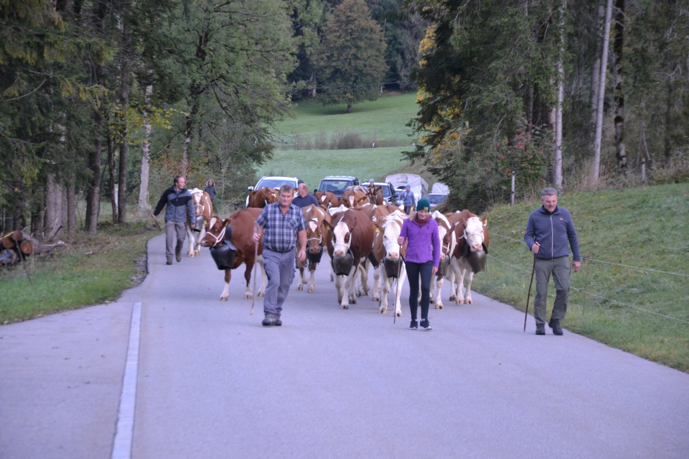Fritz Bürki (links), Walter Lüthi und seine Tochter Jasmine laufen vorneweg.