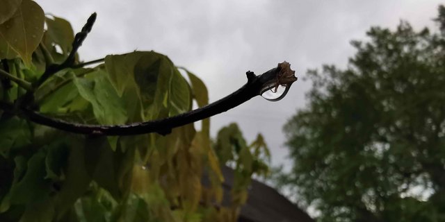 In der «magischen» Nacht auf den 1. Mai hat es in der ganzen Schweiz verbreitet geregnet. (Bild sb)