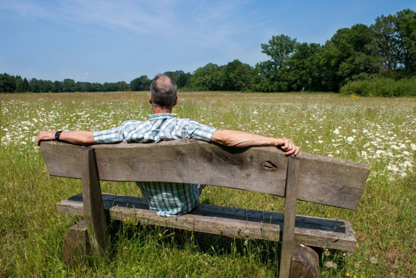 Sich die Wiese mit geschlossenen Augen vorzustellen entspannt und öffnet die Pforten für das erfolgreiche Visualisieren eines Ziels. (Bild pixelio)
