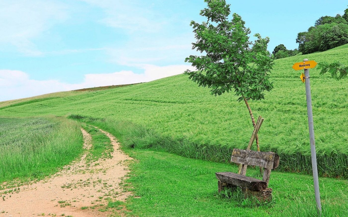 Bei einem zertrampelten Feldrand kann theoretisch Schadenersatz geltend gemacht werden – in der Praxis ist dies jedoch schwierig.