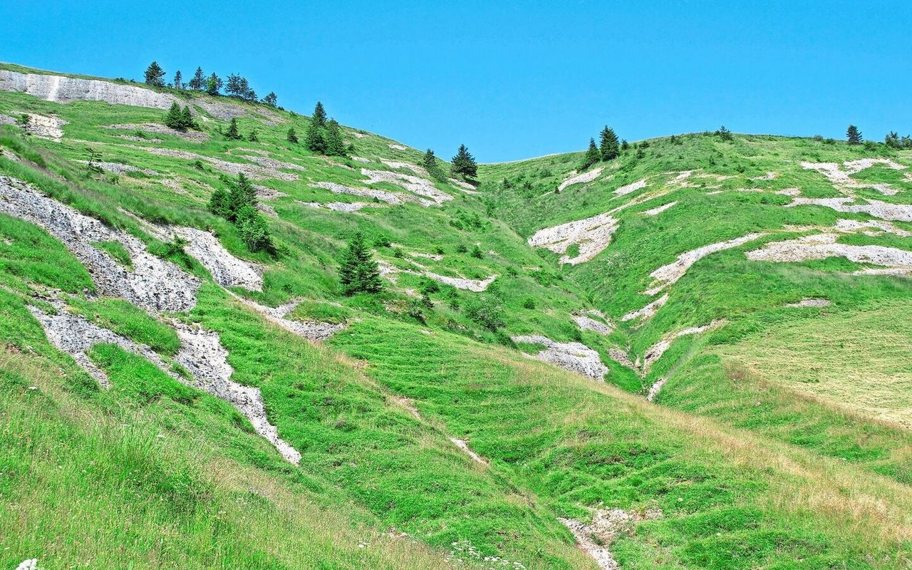 Bäume, Zwergsträucher und Wiesen mit steinigen Strukturen bieten vielen Tier- und Pflanzenarten die passenden Lebensräume.