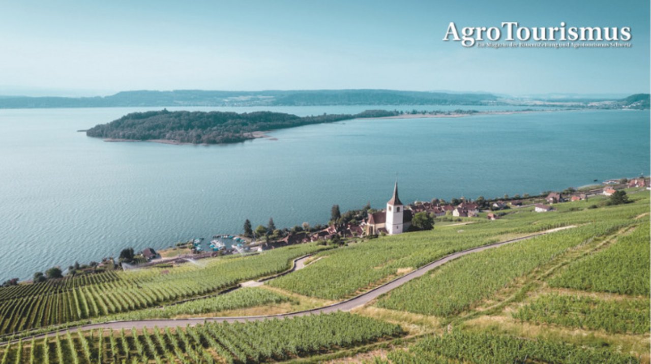 Die Kirche Ligerz in den Rebbergen ist ein Wahrzeichen der Region. Ein anderes ist die St. Petersinsel. (Bild Schweiz Tourismus)