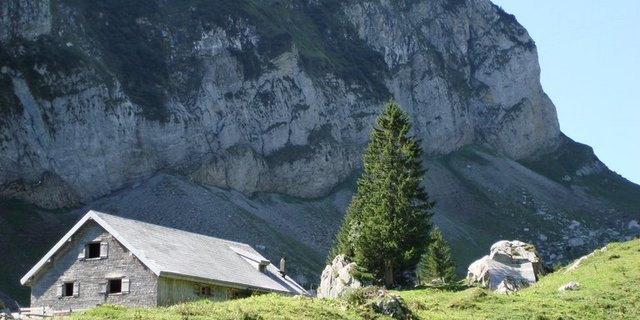 Die Generalversammlung der SAB fordert einen raschen Ausbau der Breitbandinfrastruktur, um das Potenzial der Digitalisierung für die Berggebiete und ländlichen Räume zu nutzen. (Bild Elisabeth Berli / landwirtschaft.ch)