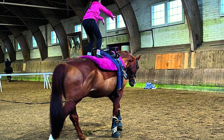 Im Gegensatz zu den anderen Pferdesportdisziplinen wird in der Voltige kein Helm getragen. Er würde nur das Risiko erhöhen, am Gurt oder an den Handgriffen hängenzubleiben.
