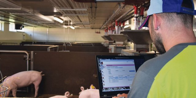 Prüfanstalt der Suisag in Sempach: Die Digitalisierung ist aber längst auch im bäuerlichen Schweinestall angekommen. 