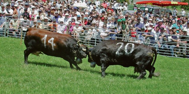 Solche Bilder wird es diesen Frühling nicht geben. Aktuell ist auch fraglich, ob im Herbst Wettkämpfe stattfinden dürfen. (Bild Archiv)