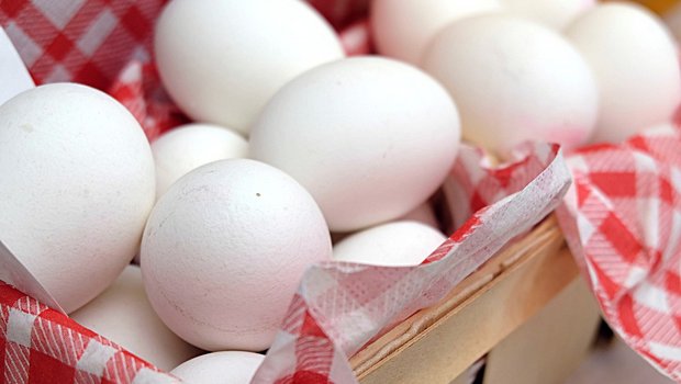 Gallo Suisse weist zum Tag des Eis auf die inneren Werte von Eiern als Lebensmittel hin. (Bild Pixabay)