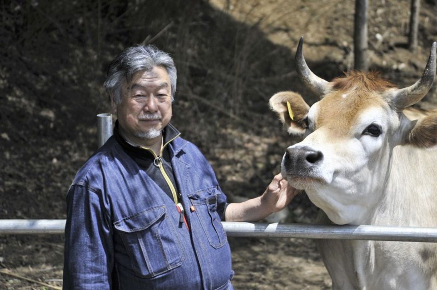 Masanori Isonuma ist ein japanischer Stadtbauer. Er hält 45 Kühe, darunter Jerseys und Brown Swiss, aber hauptsächlich Holstein. (Bilder mvw)