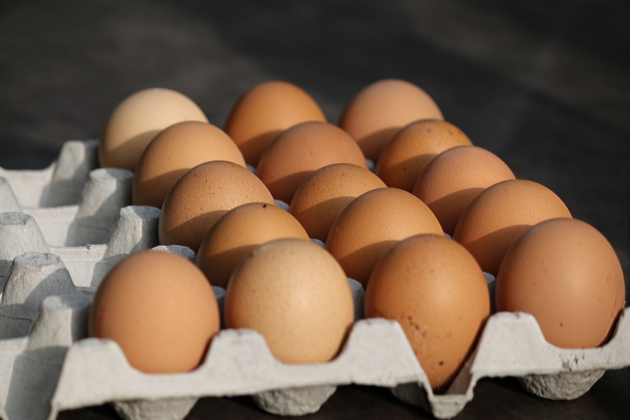Migros will ab 2020 nur noch Eier aus Freilandhaltung verkaufen. (Bild Pixabay)