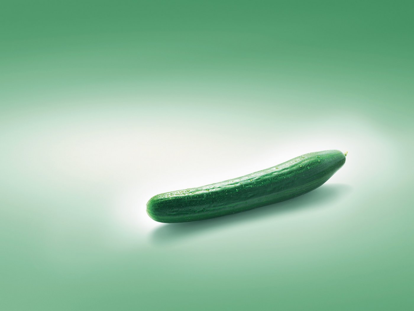 DIe Gurke gehört zu den Kürbisgewächsen und ist äusserst gesund. (Bild: VSGP)