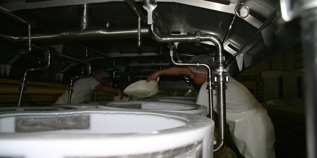 Die Milchgold Käse AG verarbeitet täglich bis zu 180‘000 Liter Milch zu Käse. (Bild zVg)