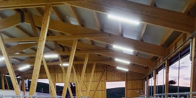 Im Winter bringen die Freshlight-Lampen den Tag zurück in den Stall. Um die Luft zu reinigen, brennen ganzjährig stets zwei Lampen.