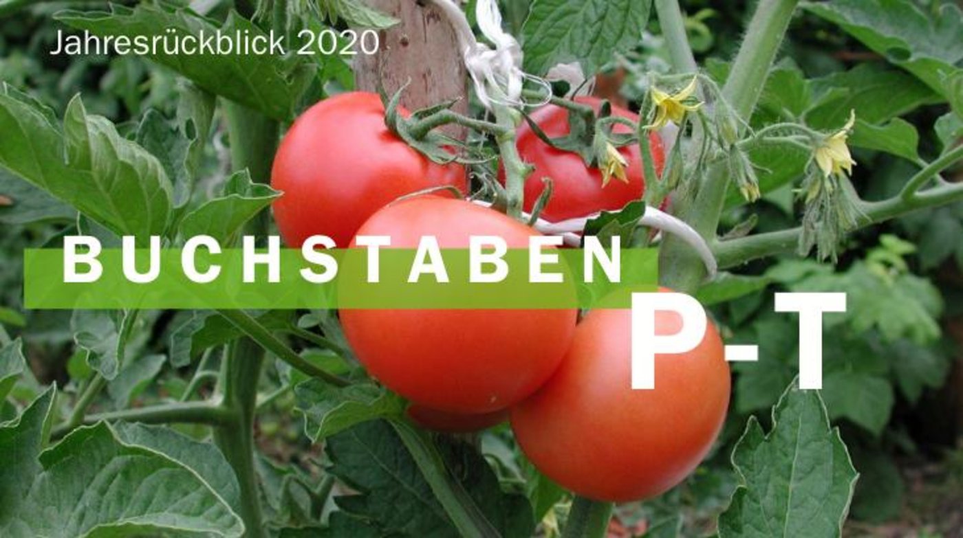 Jahresrückblick 2020 - Buchstaben P-T (Bild BauZ)