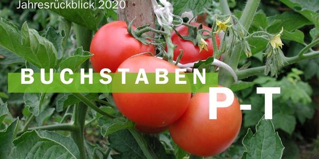 Jahresrückblick 2020 - Buchstaben P-T (Bild BauZ)