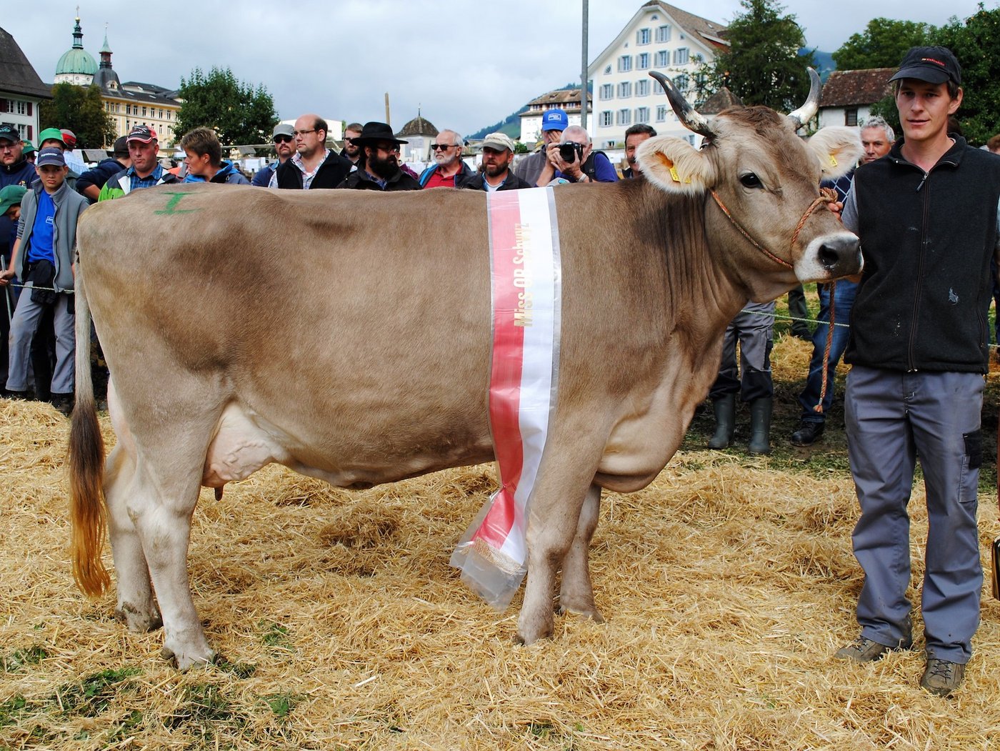 Miss OB Schwyze Dual Lili von Fridel Gwerder, Rickenbach. 