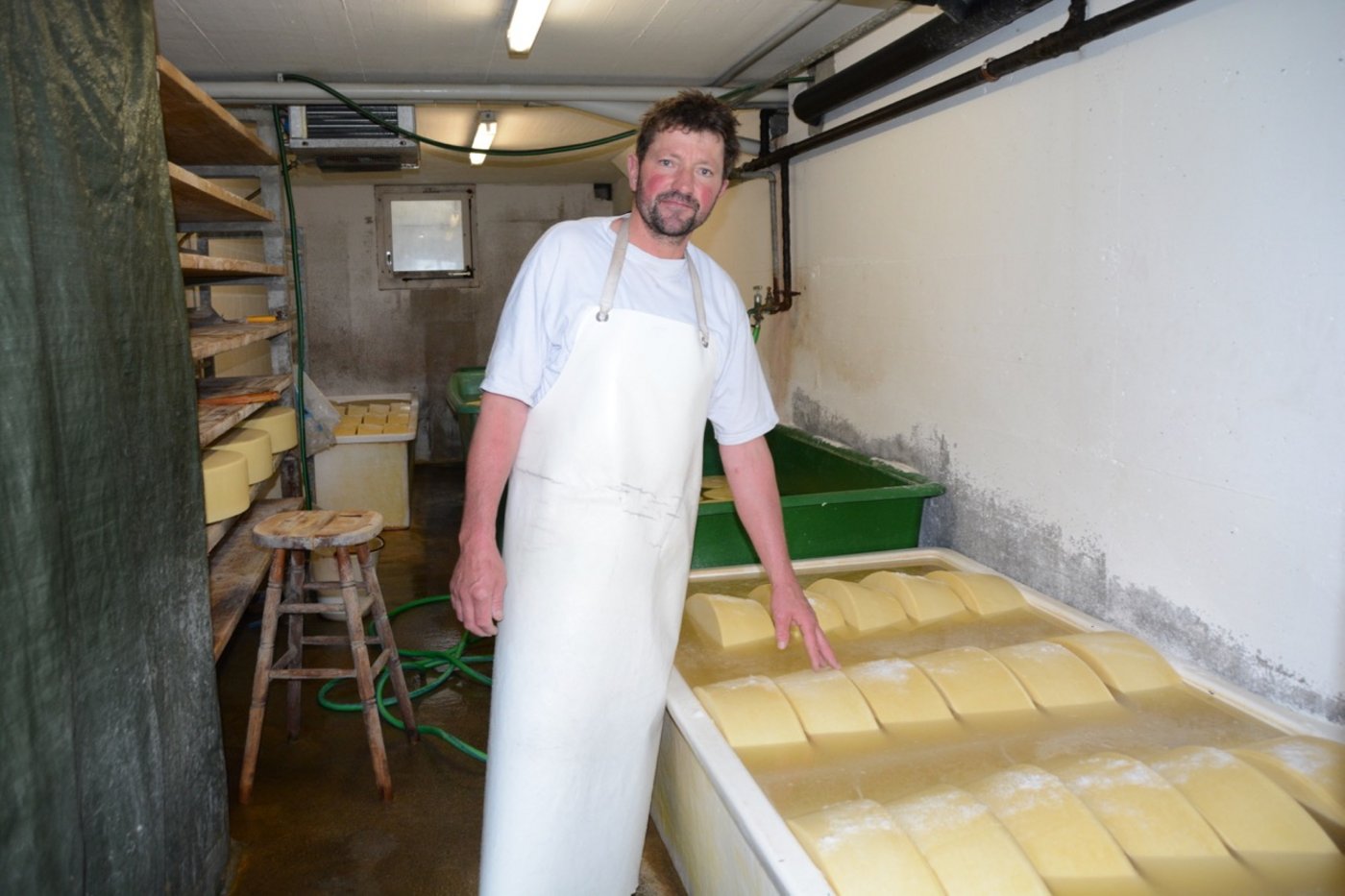 Rund 20 Tage bleiben die Käselaibe im Salzbad. 