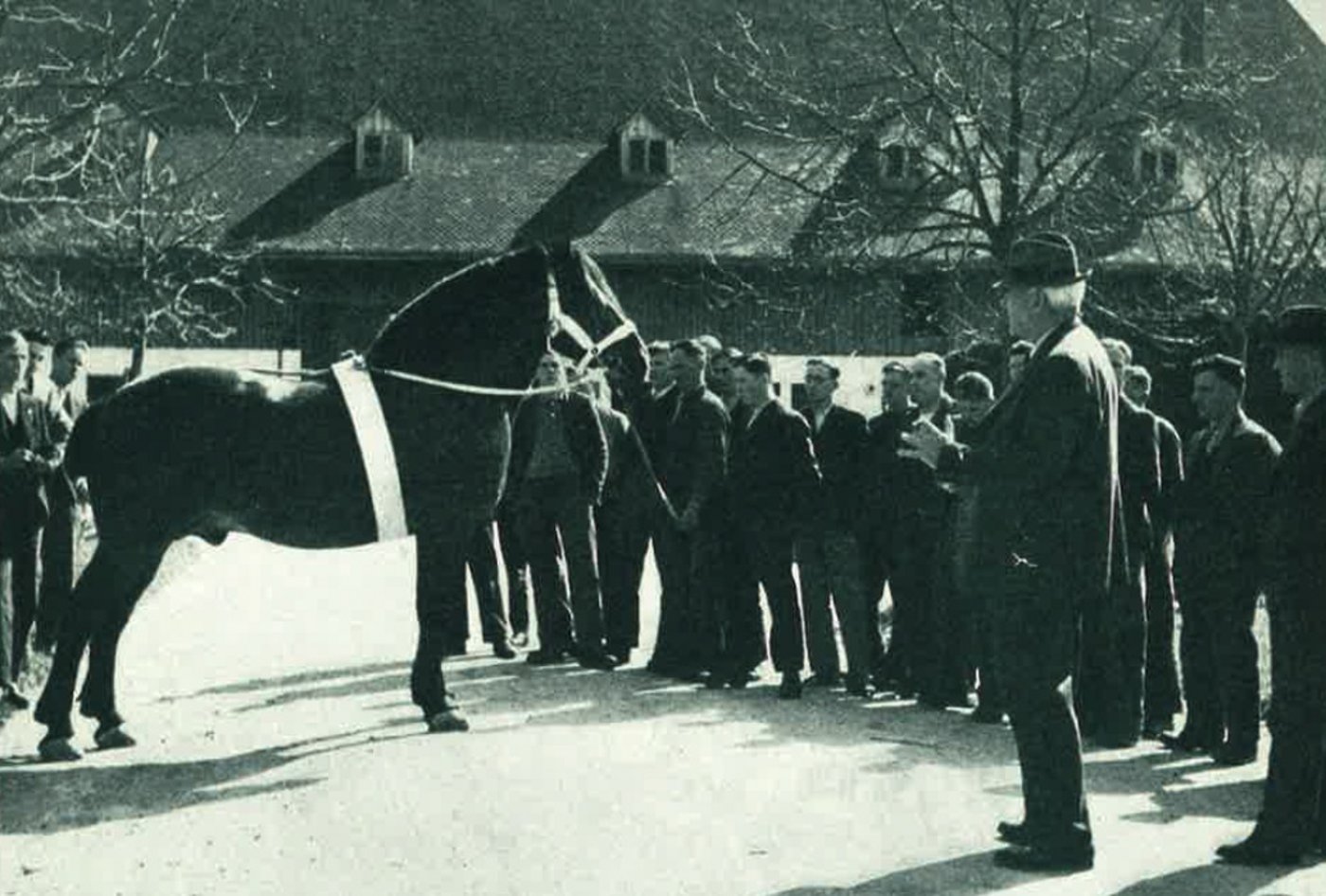 Aufmerksam verfolgen die jungen Männer die Erläuterungen zur Pferdebeurteilung. (Photopress, Zürich)