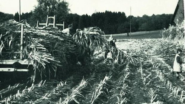 Damals war auf dem Feld noch mehr Handarbeit gefragt. (Bild E. Boss, Schweiz. Bauernsekretariat)