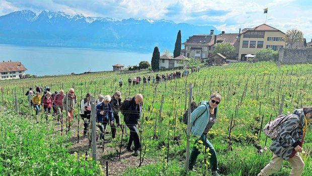 Die Jahresversammlung der Kleinbauern-Vereinigung fand dieses Jahr am Genfersee im Weinbaudorf Rivaz statt. 