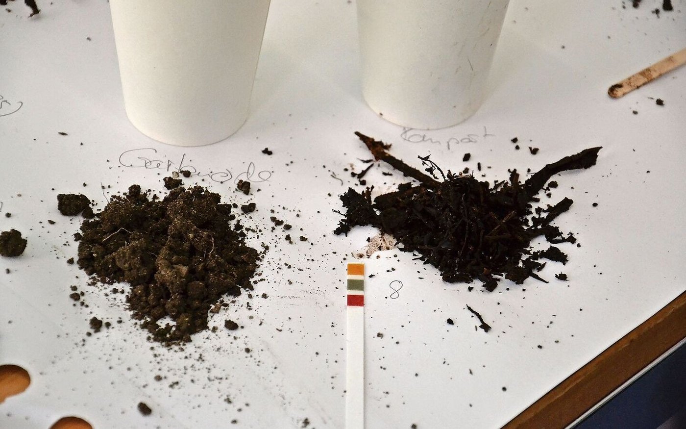 Gute Komposterde (rechts) darf Holzstückchen enthalten, sie sollten sich aber nach Ende der Reifezeit zwischen den Fingern zerreiben lassen. Indikatorpapier zeigt den pH-Wert, der zwischen  7,2 – 7,6 liegen sollte.