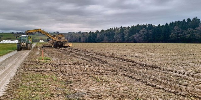Die Interprofession berät über ein Entschädigungsmodell, welches die entstandenen Schäden berücksichtigt.