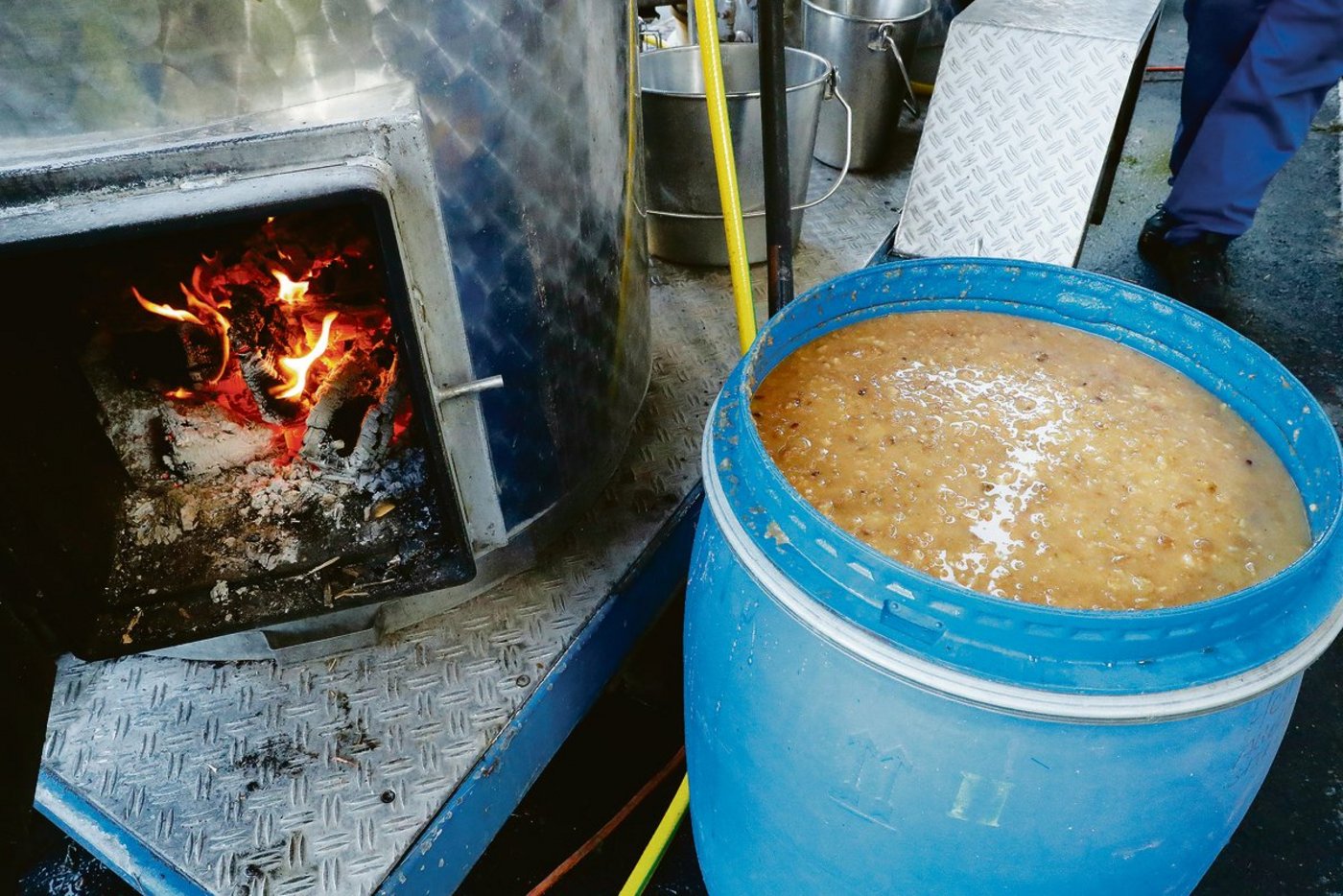 Mit dem Verkauf im eigenen Betrieb gewonnener Erzeugnisse ist die Landwirtschaft von der Steuer ausgenommen. (Bild Ruben Sprich)
