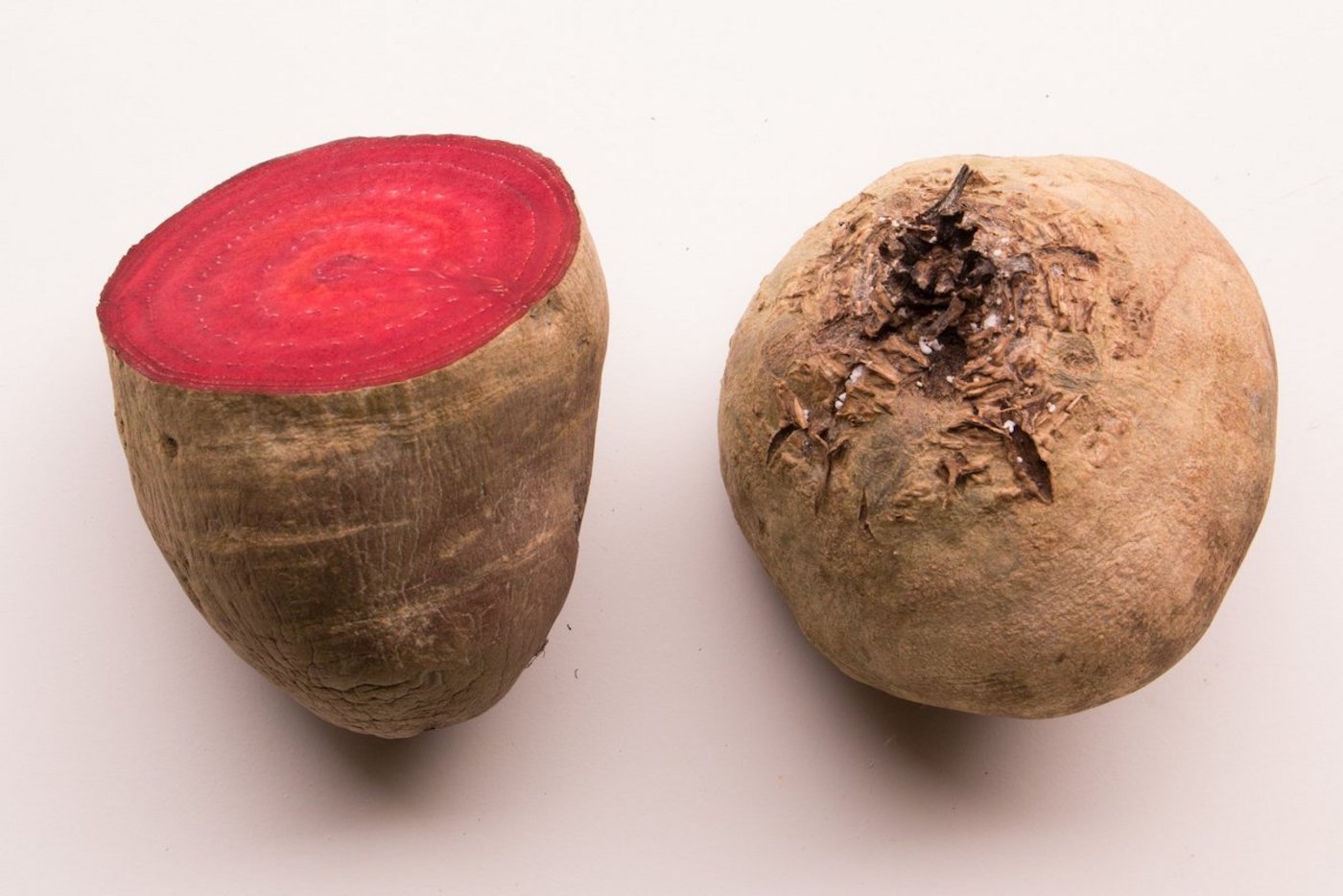 Direkt gesäte Gemüse halten in der Regel länger (Foto: Eveline Dudda)