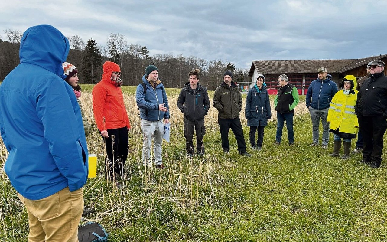 Laut Dominik Füglistaller (4. v. l.) ist Winterhanf aus anbautechnischer Sicht für die Schweizer Landwirtschaft eine interessante Nutzpflanze. Die HAFL untersucht neben den Anbaubedingungen auch die Wirtschaftlichkeit.