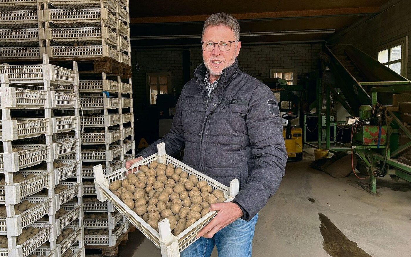 Erstmals baut Daniel Erb in diesem Jahr mit SH C 1010 eine Chips-Sorte an. «Diese schnitt bei den Sortenversuchen gut ab und soll trockenheitsresistenter als andere Sorten sein.»