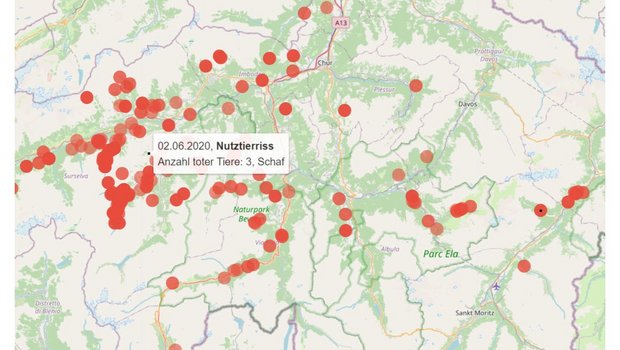 Auf einer neuen Webseite des AJF ist eine Karte publiziert, auf welcher sämtliche Grossraubtierbeobachtungen nach Tierart und mit den jeweiligen Daten sichtbar sind. (Bild AJF)