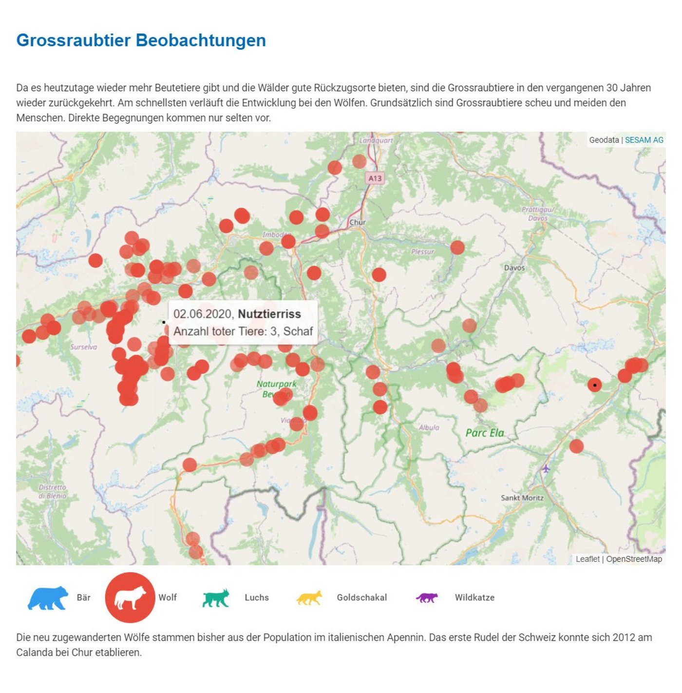 Auf einer neuen Webseite des AJF ist eine Karte publiziert, auf welcher sämtliche Grossraubtierbeobachtungen nach Tierart und mit den jeweiligen Daten sichtbar sind. (Bild AJF)