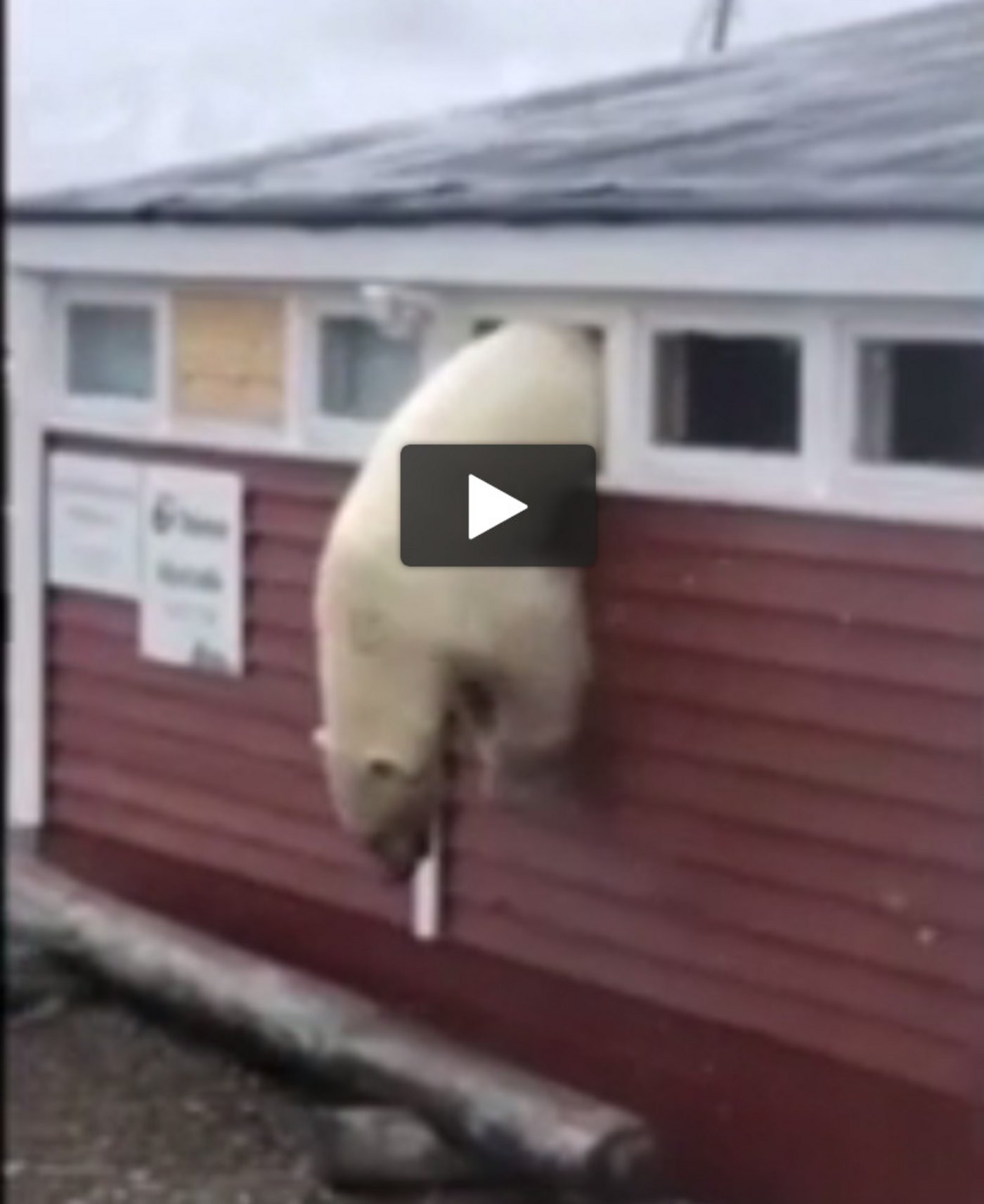 Am Schluss flüchtet der Eindringling durch ein Fenster. (Videoscreen Svalbadrposten) 