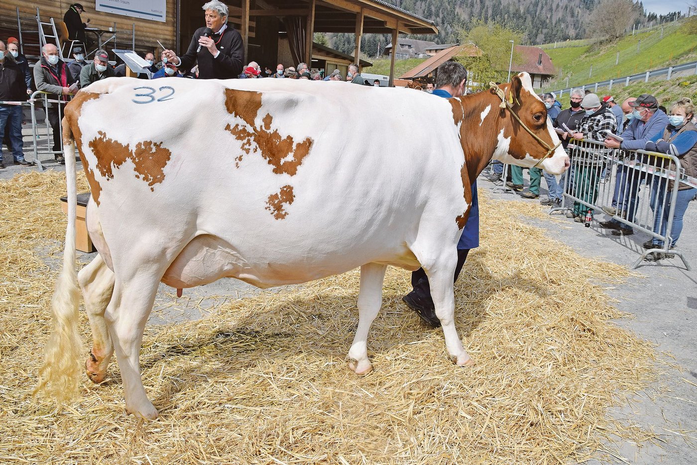 Sie war das teuerste Tier des Tages: Die Bio-Kuh Red-Boy Ramela von Martin und Beatrice Wüthrich aus Trub BE konnte für 4900 Franken zugeschlagen werden.(Bild Peter Fankhauser)