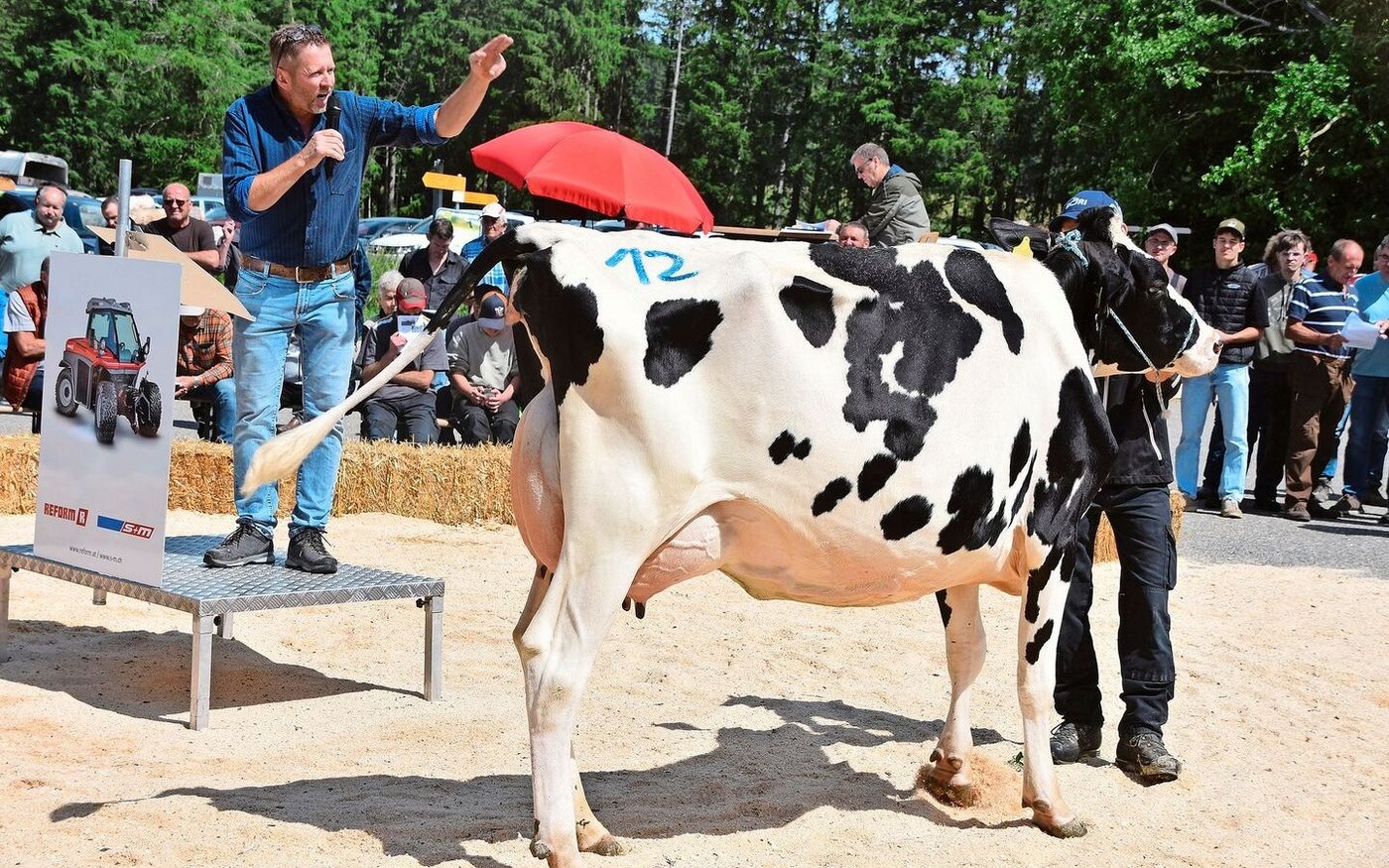 Sie stand mit 36 kg Milch auf dem Platz und holte den Spitzenpreis von 4800 Franken: Luster Mimosa, angeboten von Blaise und Vital Wermeille, Les Breuleux. 