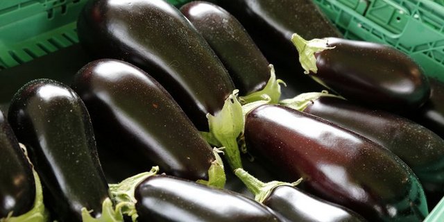 Der Eigengeschmack der Aubergine ist ein wenig bitter – indem man sie aber in Scheiben oder Streifen schneidet und mit Salz bestreut, werden der Aubergine Bitterstoffe und auch Wasser entzogen und sie nimmt dann den Geschmack von Gewürzen und Saucen wunderbar an. (Bild lid/ji)