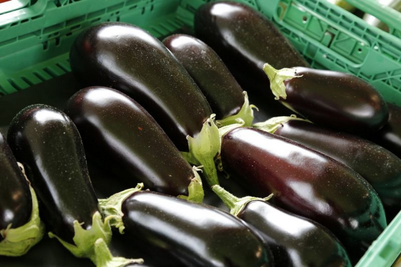 Der Eigengeschmack der Aubergine ist ein wenig bitter – indem man sie aber in Scheiben oder Streifen schneidet und mit Salz bestreut, werden der Aubergine Bitterstoffe und auch Wasser entzogen und sie nimmt dann den Geschmack von Gewürzen und Saucen wunderbar an. (Bild lid/ji)
