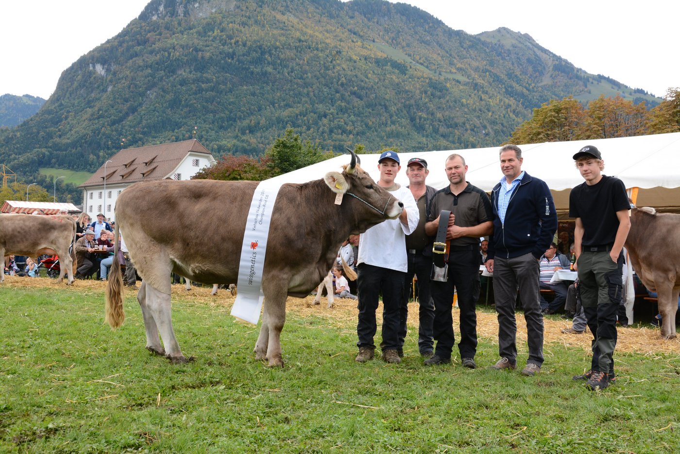 Die letztjährige und aktuelle Miss, Jan Jolanda von Roman Odermatt, Dallenwil.
