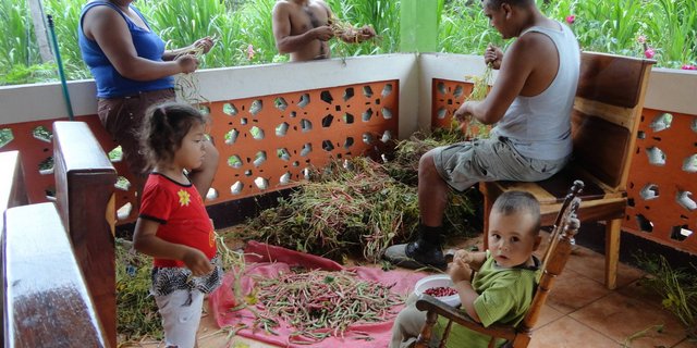 Dario und Nachbarsmädchen Blanka helfen beim Lösen der Bohnen aus ihren Hülsen. (Bild Mirka Lötscher)