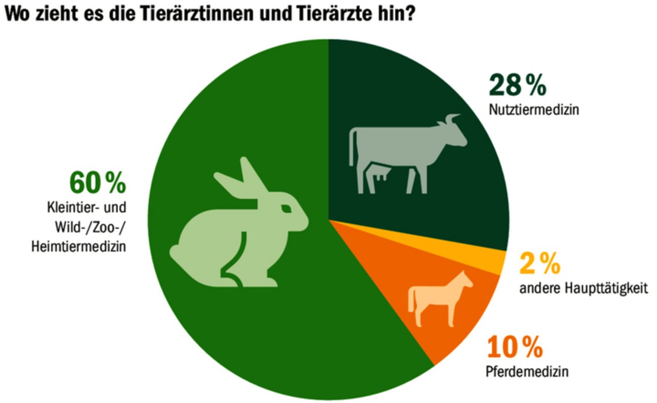 Ein knappes Drittel aller Tierärzte, die abschliessen, gehen in den Nutztierbereich. Das hat fatale Folgen für die Notfallversorgung der landwirtschaftlichen Nutztiere. 