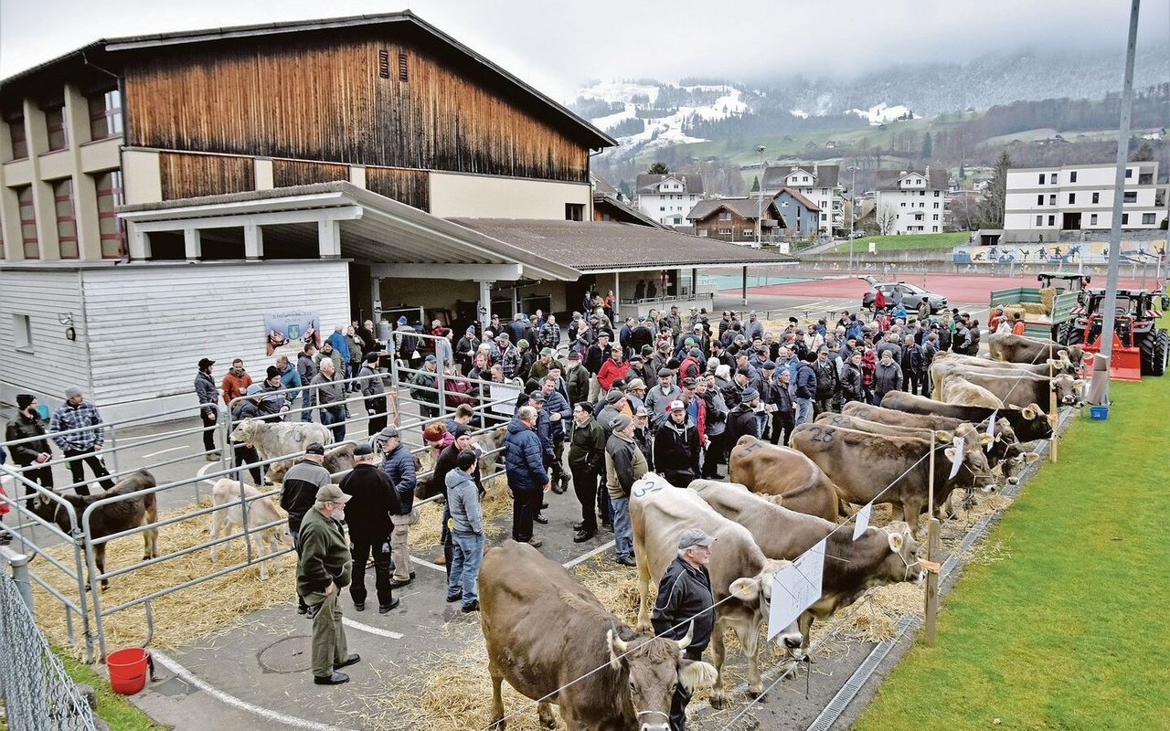 Die Auktion Kerns fand erstmals am neuen Standort auf dem Areal der Dossenhalle statt. Unter der grossen Zahl an Besuchern waren aber eher wenig Käufer auszumachen.