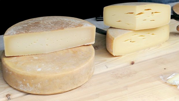 Die verwendeten Bakterien-Kulturen spielen bei der Herstellung von Käse eine wichtige Rolle. Daher dürfen Schweizer Kulturen nur innerhalb der Landesgrenzen verkauft werden. (Bild Moritz 320/Pixabay)