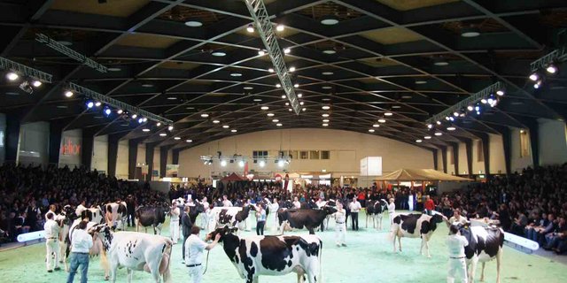 Die Veranstalter der Expo verteilen Gratis-Eintritte. (lid)